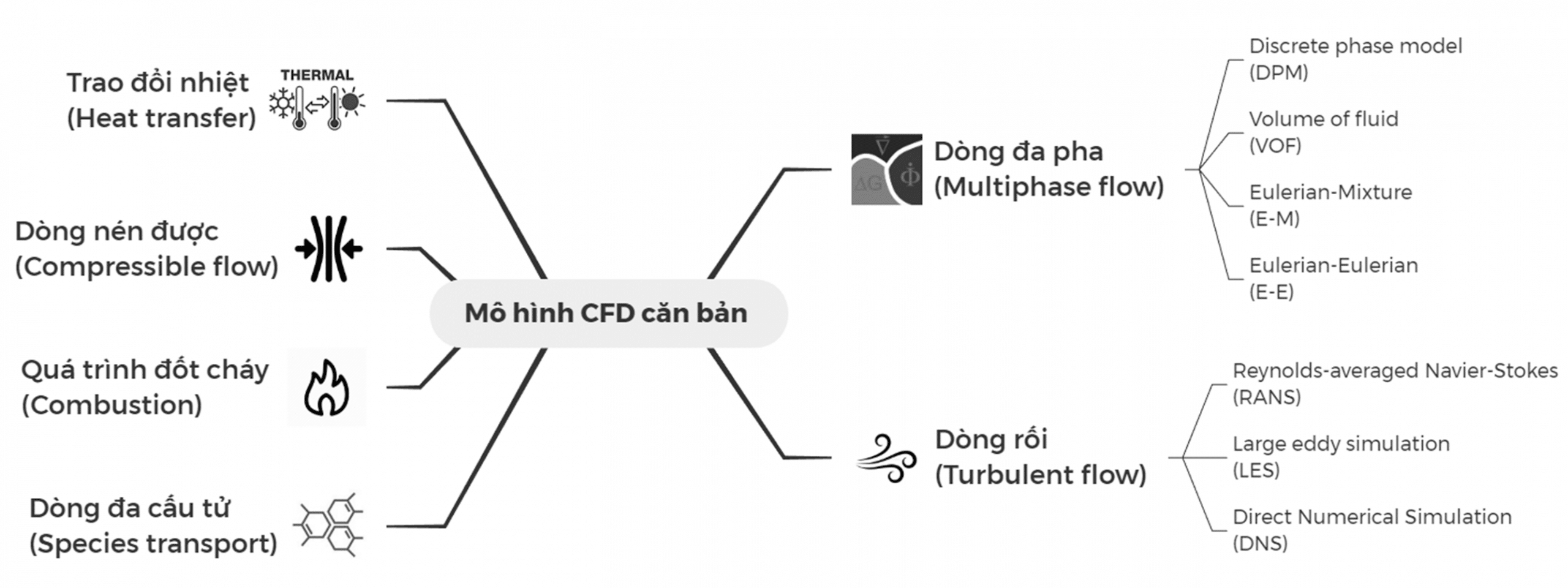 Các mô hình CFD cơ bản: Trao đổi nhiệt (heat transfer), Dòng nén được (Compressible flow), Quá trình cháy (combustion), đa cấu tử (species transport), Dòng đa pha (multiphase flow), Dòng chảy rối (turbulent flow)