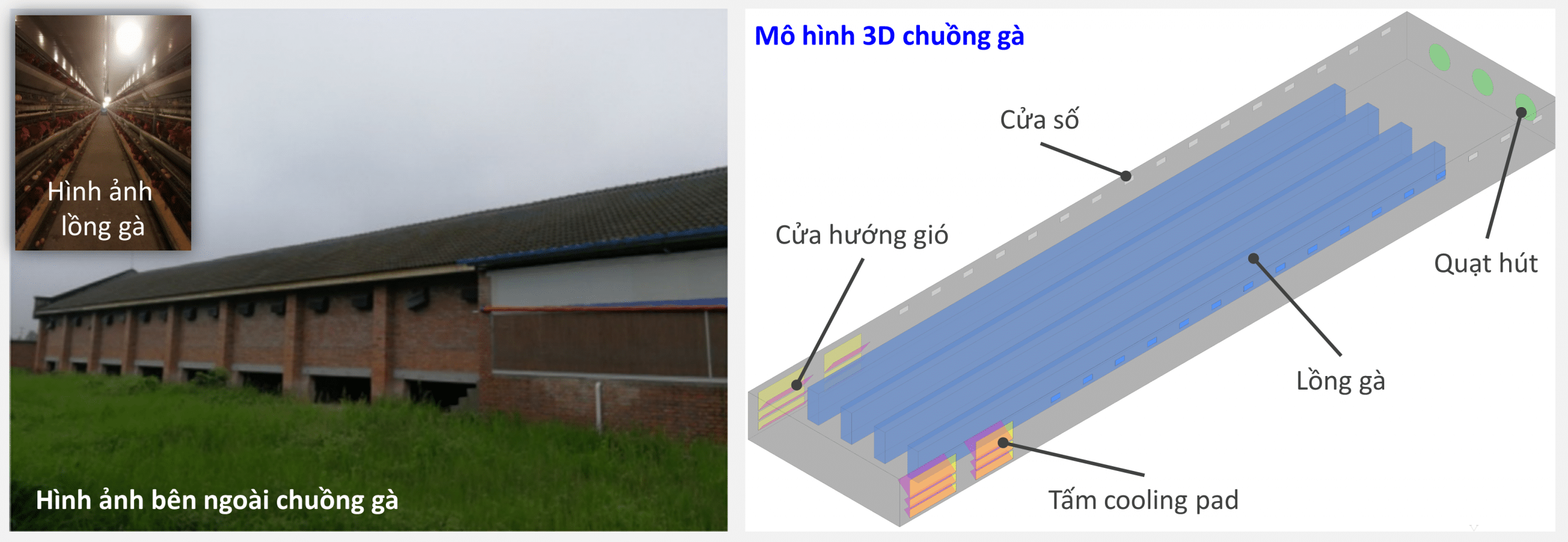 Hình ảnh thực tế và hình học 3D của chuồng gà công nghiệp